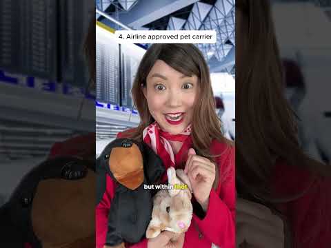 Flying with your PET made easy ??#tutorial